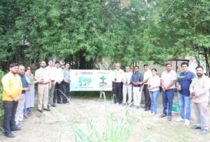 Grand Tree Plantation Program